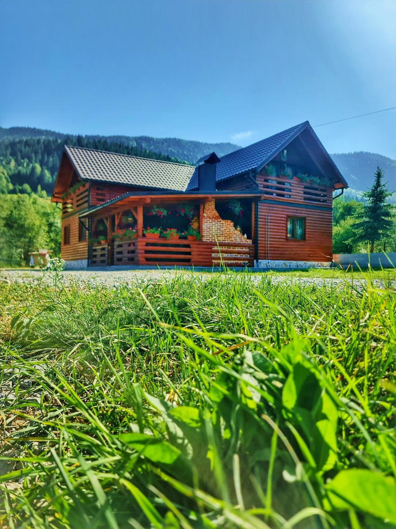 Cabana Dintre Munti Vidra (Alba) Exterior foto